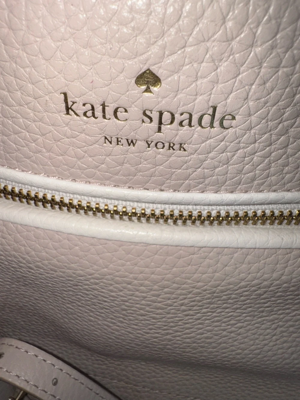 Kate Spade Chester Street Dessi Crossbody & Neda Wallet Set